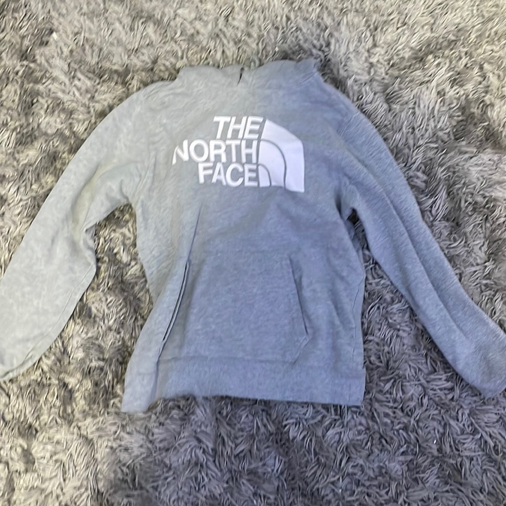 North face hoodie in perfect condition